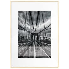 Matte Premium Metallicus A2 Metal Photo Frame